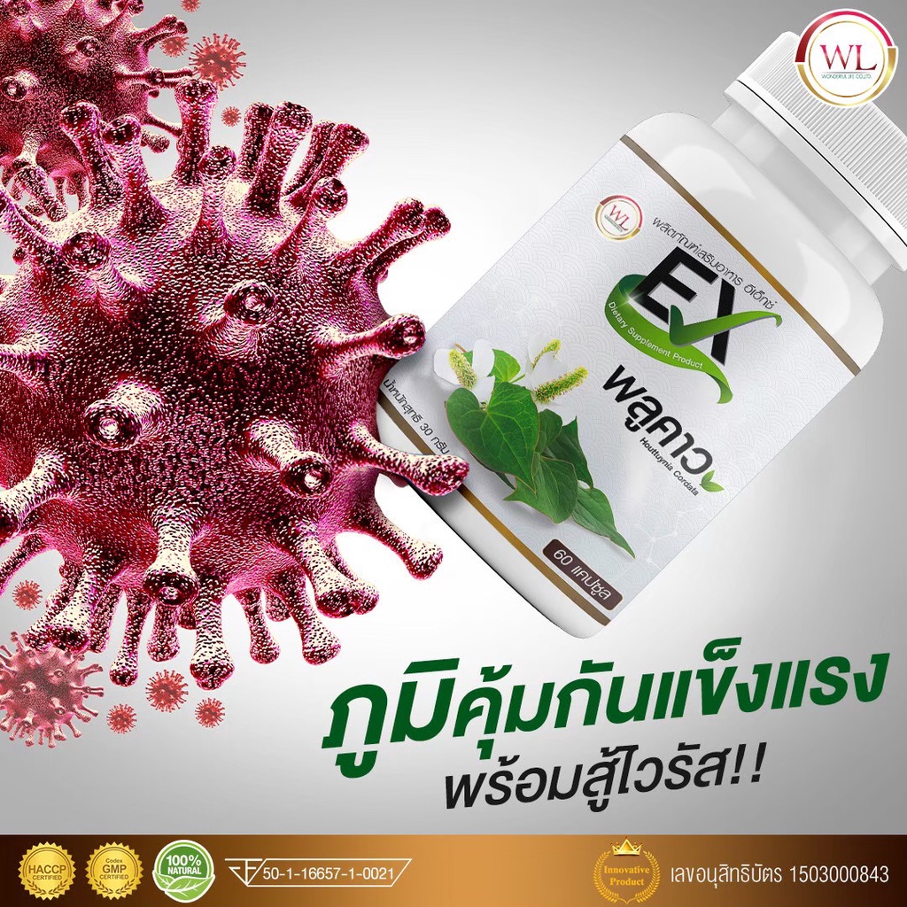 1-แถม-1-ส่งฟรี-ex-พลูคาว-กระปุกเล็ก-30-แคปซูลกระตุ้นการสร้างเม็ดเลือดขาว-เสริมสร้างภูมิคุ้มกันร่างกาย