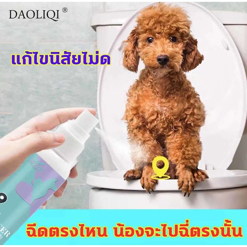 ภาพหน้าปกสินค้าDAOLIQI สเปรย์ฝึกฉี่ สเปรย์ฝึกหมาฉี่ สเปรย์ฝึกขับถ่าย ไบโอไลน์ ​สำหรับลูกสุนัข ฝึกให้ลูกสุนัขขับถ่ายในพื้นที่หรือบริเวณท