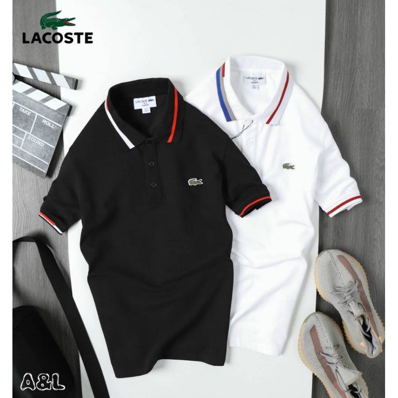 เสื้อโปโลคอปก-lacoste