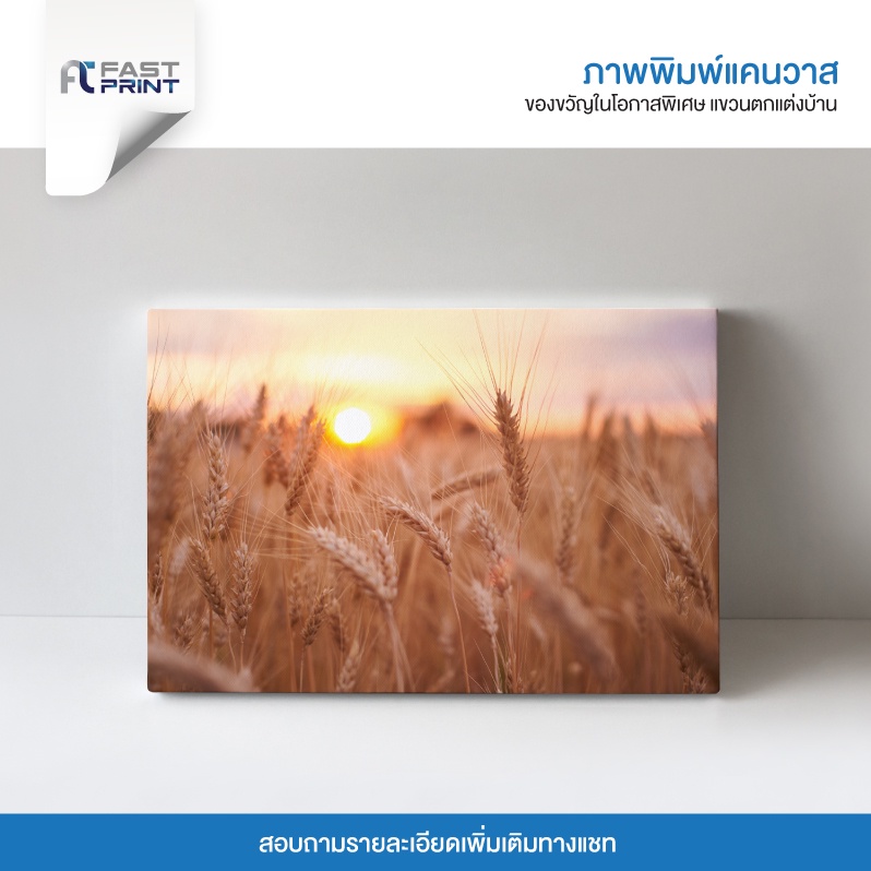 ภาพพิมพ์แคนวาสพรีเมี่ยม-รูปต้นหญ้า-ต้นข้าวโอ๊ต-ทุ่งข้าว-รูปตกแต่งบ้าน-ความละเอียดสูง-2400x2400dpi