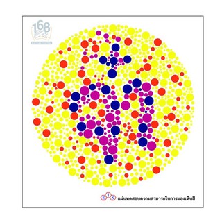 แผ่นวัดความสามารถการมองเห็นสี 1 แผ่น ( Color Vision Test )