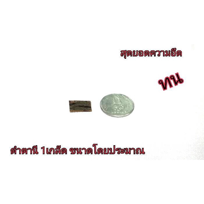 เกล็ดดำตานี-ของดีหายากที่พ่อบ้านควรมี