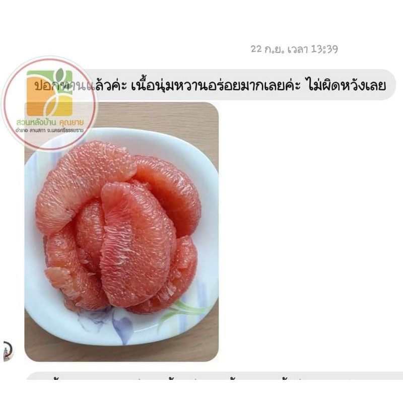 ส้มโอทับทิมสยาม-ปากพนังนครศรีธรรมราช-1-1-2-kg