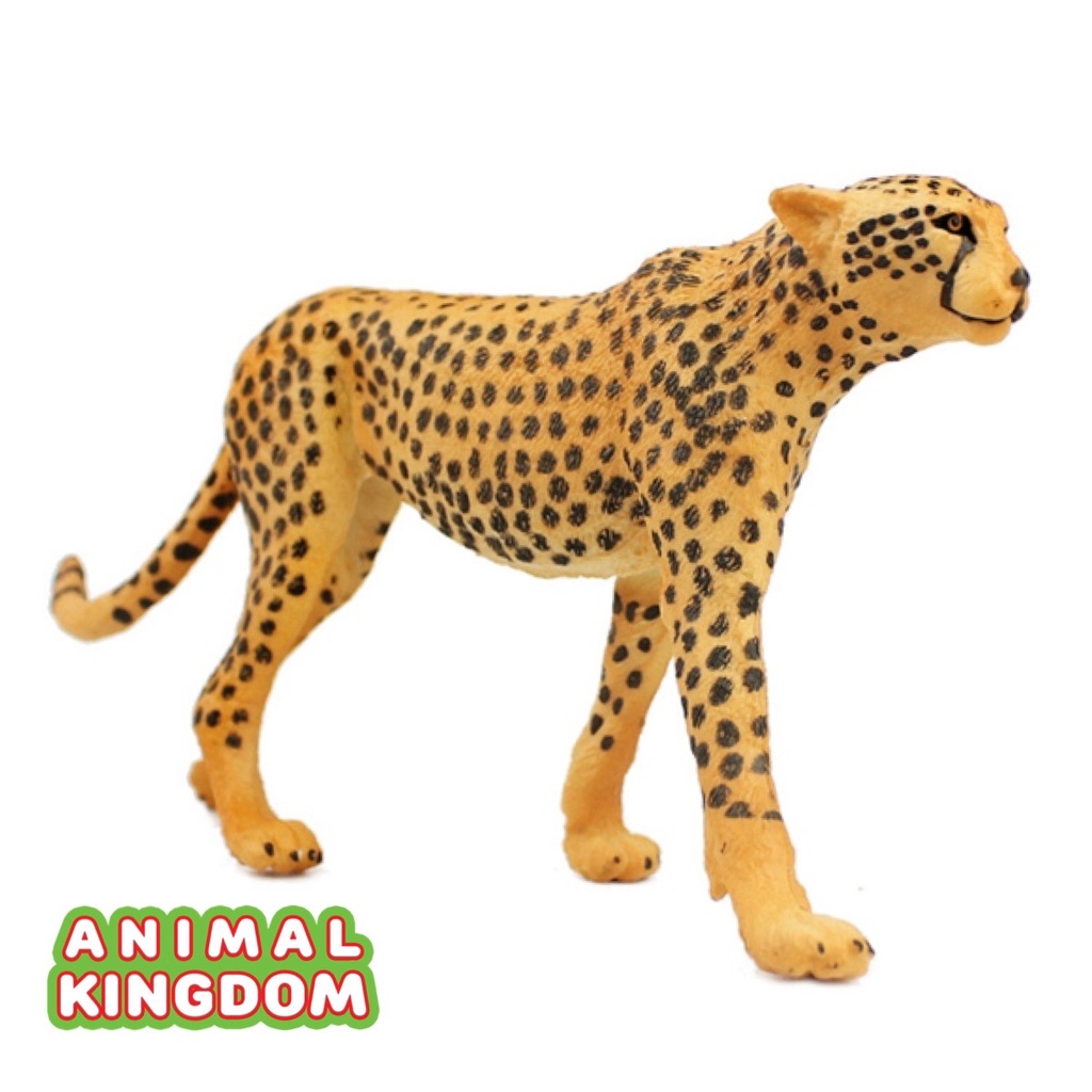 animal-kingdom-โมเดลสัตว์-เสือดาว-เสือชีตาห์-ขนาด-19-00-cm-จากสงขลา