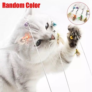 🐾พร้อมส่ง🐾 ไม้ล่อแมว แมลงตัวเล็ก Random Color ไม้ตกแมว ไม้ใช้ล่อแมวถ่ายรูป มีบริการเก็บเงินปลายทาง