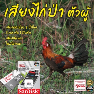 เสียงต่อไก่ป่า ตัวผู้ ยาว6ชั่วโมง ไม่มีโฆษณา เมมโมรี่เล็ก(Micro SD) มีเก็บเงินปลายทาง