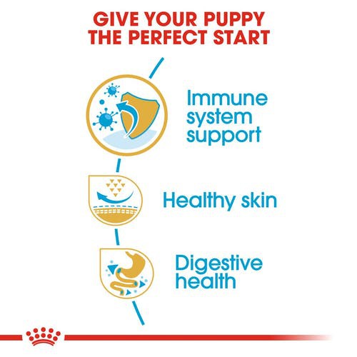 cheaper-royal-canin-pug-puppy-1-5kg-โรยัลคานิน-อาหารลูกสุนัข-ปั๊ก-ขนาด-1-5-กิโลกรัม