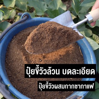 สินค้า ปุ๋ยคอก ปุ๋ยขี้วัวขุนคุณภาพสูง บดละเอียดมีปุ๋ยขี้วัวล้วน และ ผสมกากชากาแฟ ถุงละ 500กรัม. ดูดซึมง่าย ใบลำต้นเขียวงาม