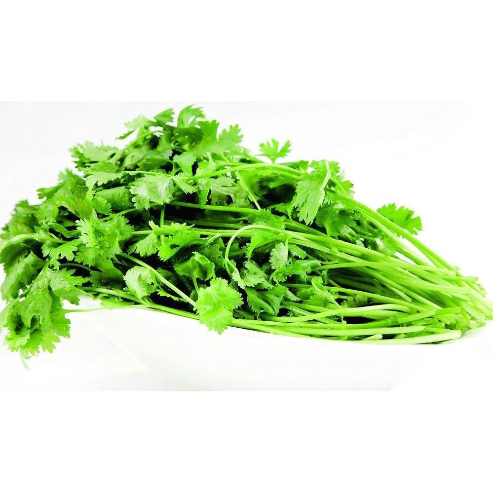 รับประกันหลังการขายงอก100-ปลูกง่าย-ของแท้-100-ประเทศไทย-พร้อมสต็อก-เมล็ดพันธุ์-ผักชีฝรั่ง-parsley-seeds-100pcs-เมล็ด