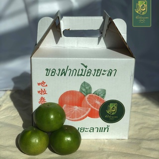 ส้มโชกุนเบตงแท้ เบอร์ 1 ( 7 ลูก/กิโลกรัม) กล่อง 3 กิโล