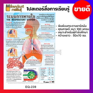  ภาพโปสเตอร์ ระบบการหายใจ THE RESPIRATORY SYSTEM EQ-239 ประกอบการศึกษา โปสเตอร์สื่อการเรียนรู้ 2 ภาษา ไทย-อังกฤษ