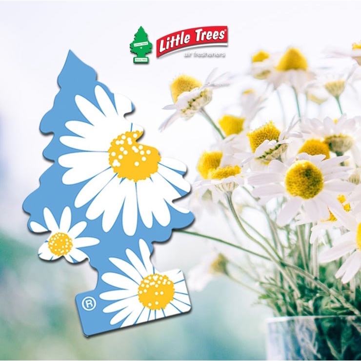 [ขายดี] Little Trees แผ่นน้ำหอมปรับอากาศ กลิ่น Daisy Fields (ของแท้ ...