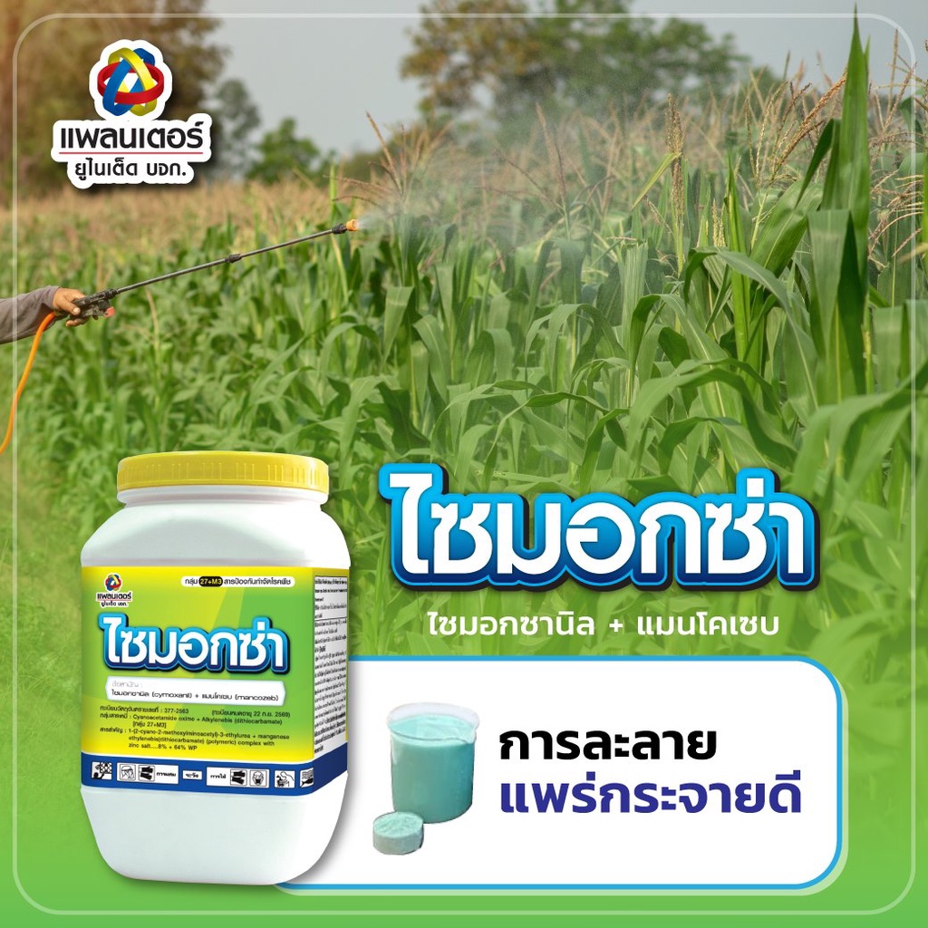 500g-ไซมอกซ่า-ไซมอกซานิล-แมนโคเซบ-แพลนเตอร์-สารป้องกันกำจัดโรคพืช-ป้องกันเชื้อรา-ป้องกันโรคพืช