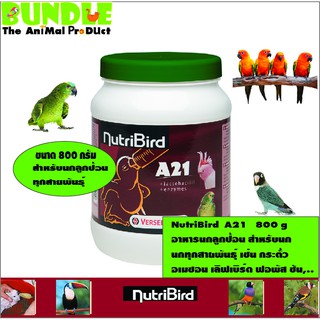 สินค้า NutriBird  A21   800 g อาหารนกลูกป้อน สำหรับนก นกทุกสายพันธุ์ เช่น กระตั้ว อเมซอน เลิฟเบิร์ด ฟอพัส ซัน,..