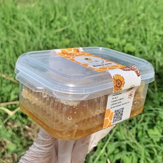 สินค้า รวงผึ้ง 250 กรัม (Honeycomb) มีมาตรฐานฟาร์มผึ้งที่ดีจากกรมปศุสัตว์