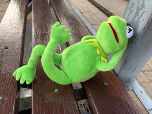 ตุ๊กตากบ-kermit-frog-ตุ๊กตาที่ดังจากมีม