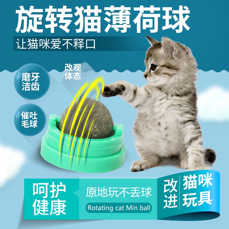 ของเล่นสำหรับน้องแมว-catnip-แคทนิป-ลูกบอลกัญชาแมว-หมุ่นได้-ติดผนัง-ไม่หล่นหาย-น้องแมวชอบ