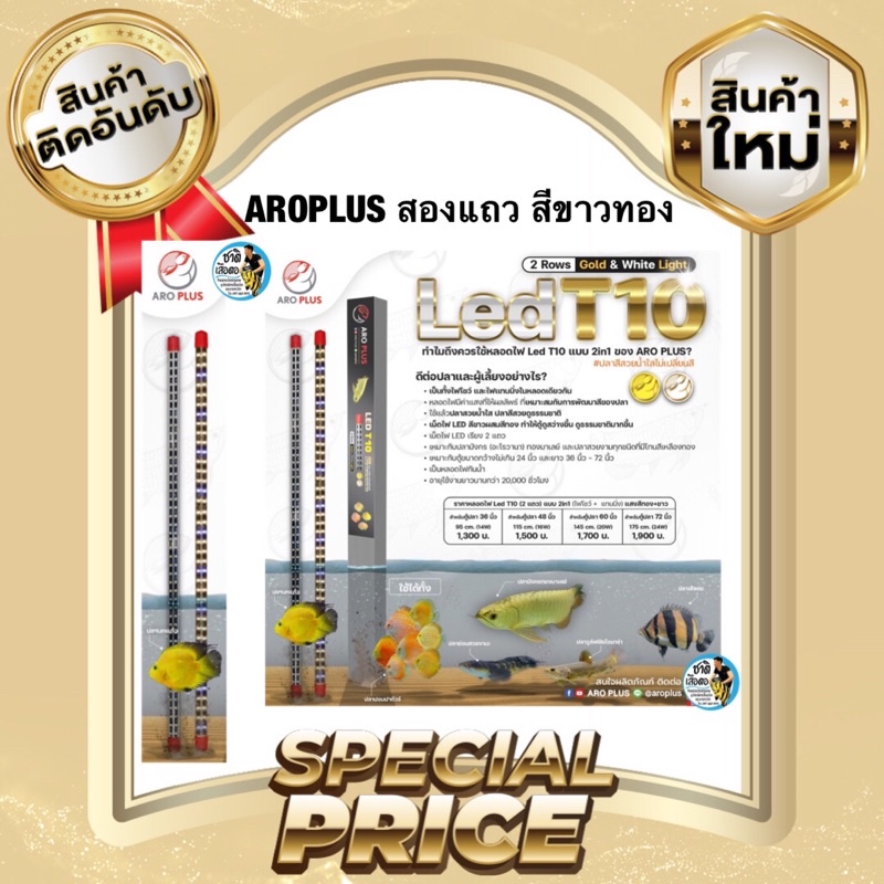 aroplus-หลอดไฟ2in1-โชว์ปลาและเทนนิ่ง-ไฟสองแถว-สีขาวทอง-ขนาด60นิ้ว-และ72นิ้ว