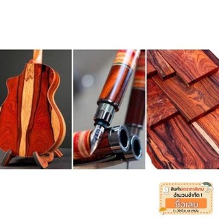 สินค้า ต้นกล้า Cocobolo ไม้สกุลพยุงที่โตเร็วที่สุด และมีความต้องการอย่างสูงในตลาดจีนตอนนี้