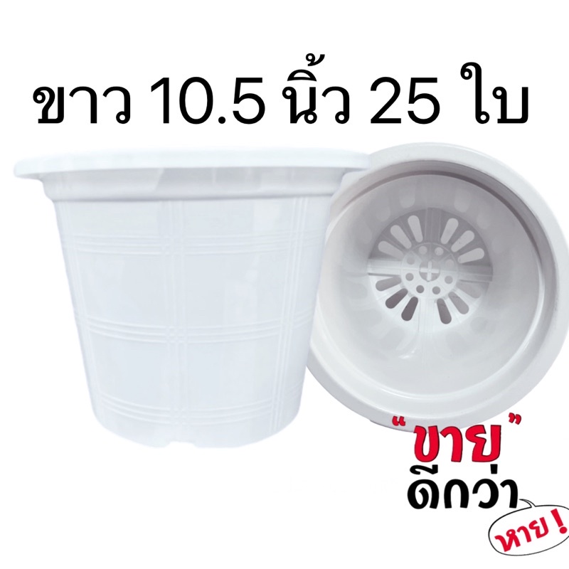 ภาพหน้าปกสินค้ากระถางต้นไม้ 10 นิ้ว ชุด 25 ใบ(4 นิ้ว 6 นิ้ว 8 นิ้ว)(ขาวดำ) จากร้าน cep_th บน Shopee