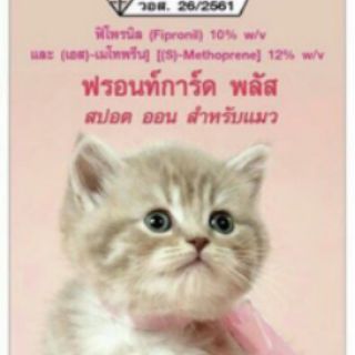 ภาพขนาดย่อของภาพหน้าปกสินค้าFrontguard Plus (แมว) ยาหยดแมว กำจัดเห็บหมัด (หมดอายุ 02/2026) ฟร้อนท์การ์ดพลัส แมว จากร้าน vetbest บน Shopee