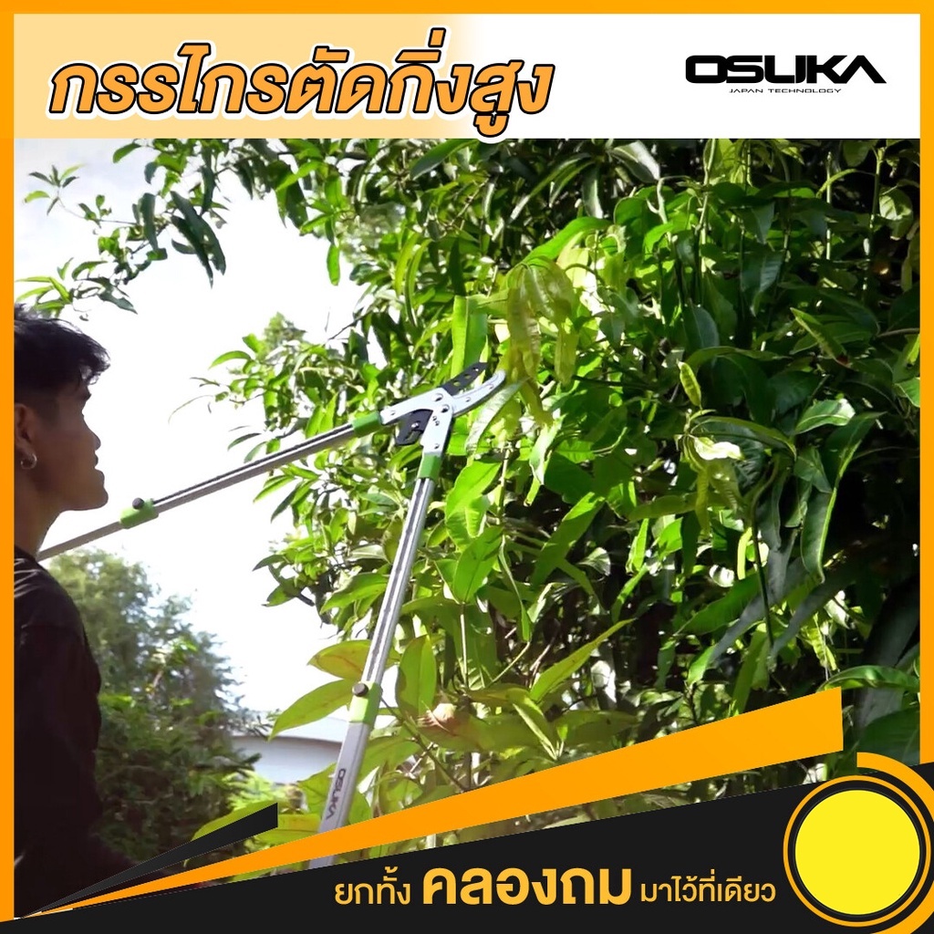 กรรไกรตัดกิ่งสูงยืดได้osuka-ราคาถูก-กรรไกร-กรรไกรตัดกิ่ง-กรรไกรตัดกิ่งไม้