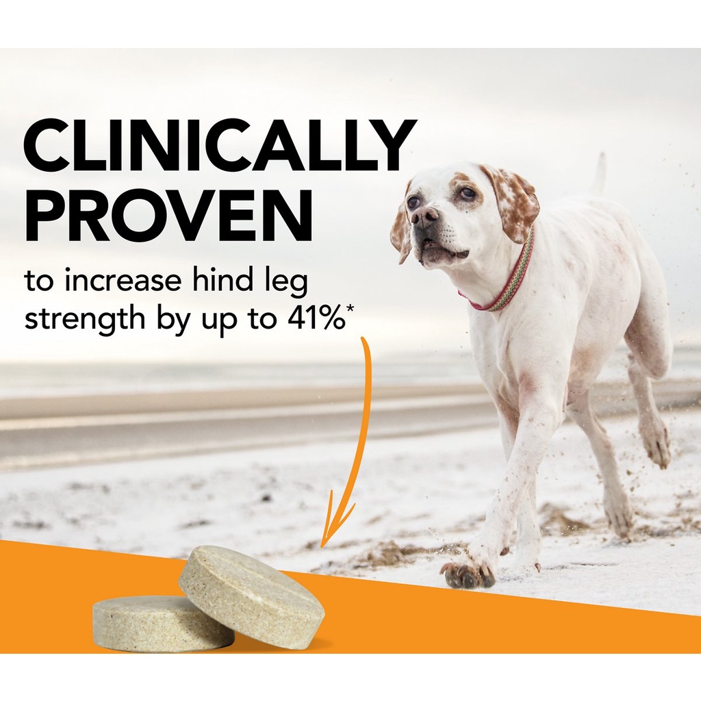พร้อมส่ง-tablet-บำรุงข้อต่อสุนัข-glycoflex-stage-3-iii-chewable-joint-supplement-for-dog-vetriscience-vetri-science