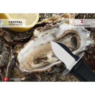 Victorinox Oyster Knife มีดแกะหอย ที่แคะหอย มีดแกะหอยนางรม - KV17