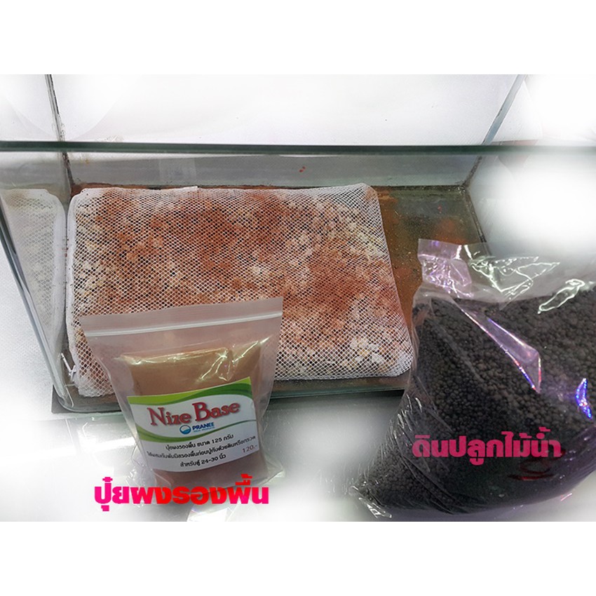 pumice-แร่พัมมิส-หรือ-หินรองพื้นตู้