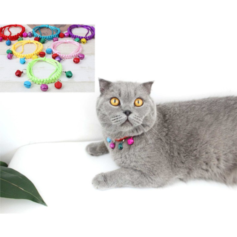 ภาพสินค้าMing ของเล่นแมว ปลอกคอแมว/หมา+กระดิ่ง  พร้อมส่ง จากร้าน minghappyshop บน Shopee ภาพที่ 2