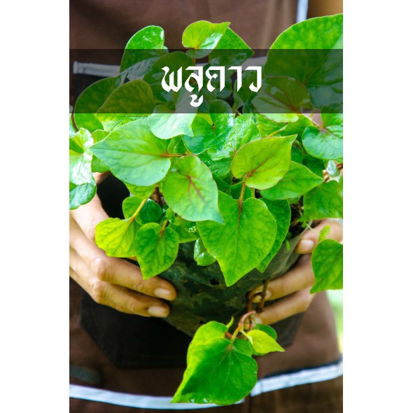 2b043e49f79a69cf5a59103f3bc09e6e