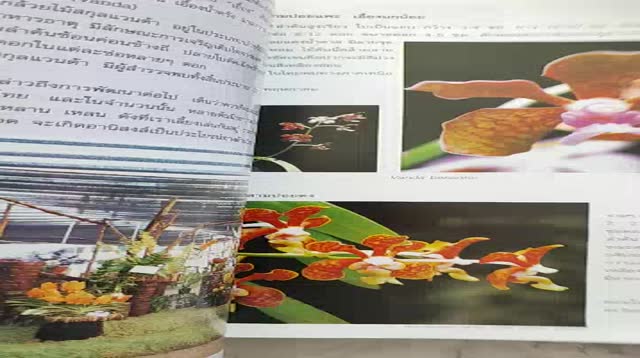ความสุข-ฉบับกล้วยไม้ไทย-thai-orchids-magazine