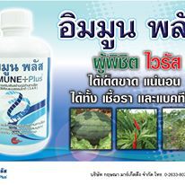 อิมมูนพลัส-500ml-วัคซีนพืช-ป้องกันและรักษาโรคพืช-เชื้อรา-แบคทีเรีย-ไวรัส-โรคพืช-allaboutplants