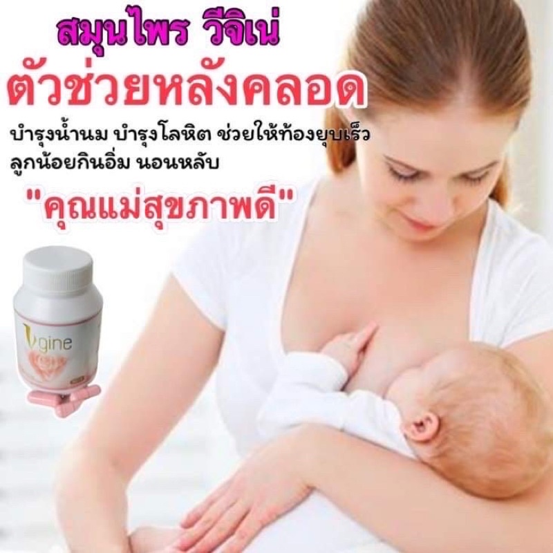 วีจิเน่-ส่งฟรี-vgine-อาหารเสริมบำรุงภายในสำหรับผู้หญิง-ช่องคลอดมีกลิ่น-ตกขาว-อกฟู-รูฟิต-ไม่มีน้ำหล่อ-ปวดประจำเดือน