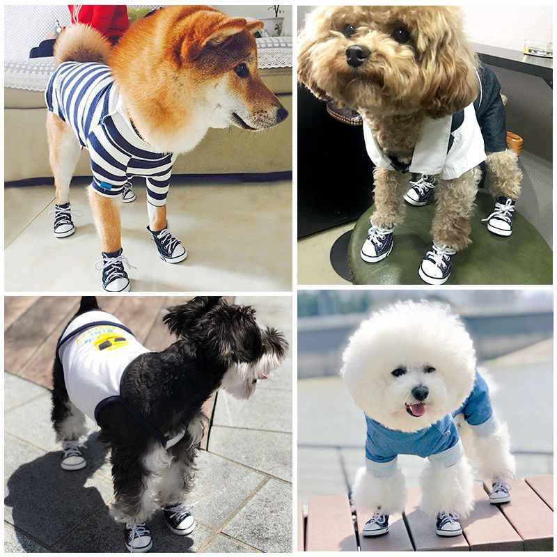 fidoz-factory-รองเท้าสุนัข-แมว-รองเท้าผ้าใบสัตว์เลี้ยง