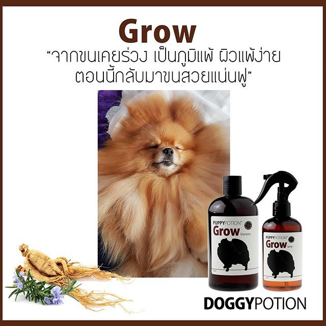 doggy-potion-แชมพู-grow-สูตรลูกสุนัข-กระตุ้นการสร้างขนใหม่-ยาวไว-ลดขนร่วง-500ml