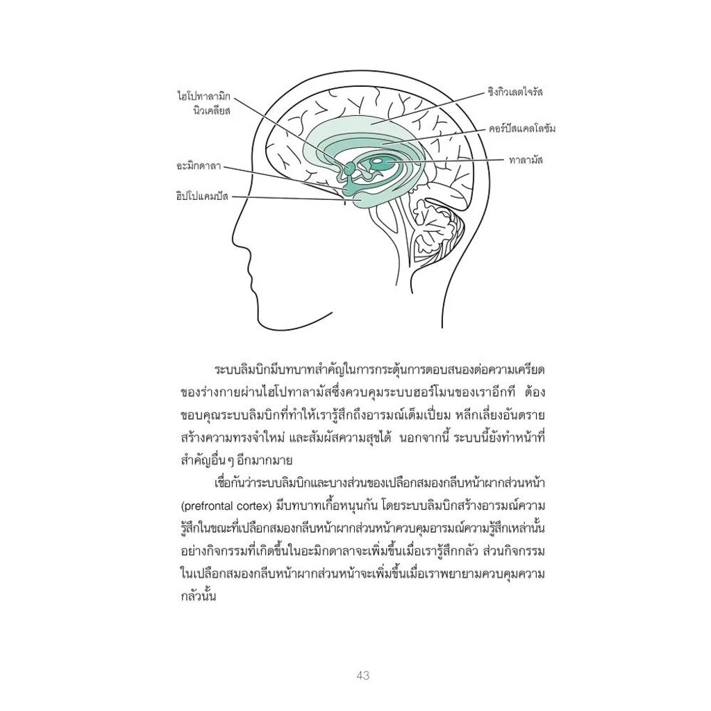 10-วิธีบำบัดความคิดและพฤติกรรม