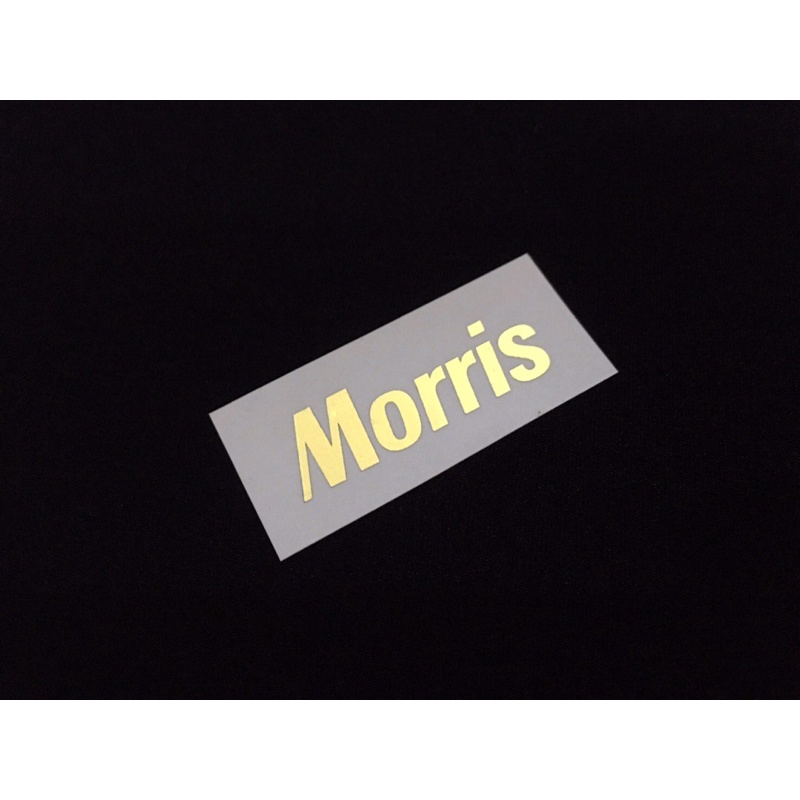 โลโก้หัวกีต้าร์-morris-acoustic-gold-metallic