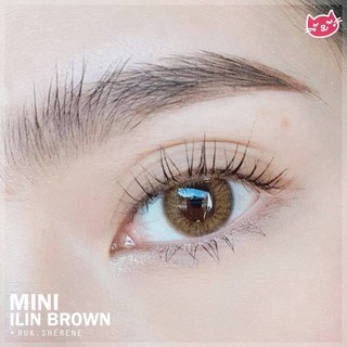 Mini ILIN Brown (1)(2) มินิ สีน้ำตาล น้ำตาล Kitty Kawaii ค่าอมน้ำสูง Contact Lens คอนแทคเลนส์ ค่าสายตา สายตาสั้น แฟชั่น