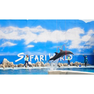 ภาพขนาดย่อของภาพหน้าปกสินค้าบัตรซาฟารีเวิลด์ Safari World ราคาถูก VIP ไม่ระบุวันหมดอายุ จากร้าน voucherddbyjoy บน Shopee ภาพที่ 3
