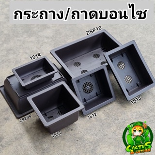 สินค้า กระถางบอนไซ กระถางสี่เหลี่ยมผืนผ้า/จัตรัส กระถางทรงเตี้ย กระถางพลาสติก