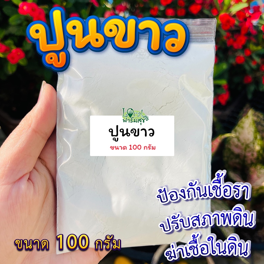 ปูนขาว-100กรัม-กันเชื้อรา-ปรับสภาพดิน-และฆ่าเชื้อในดิน-โดโลไมท์