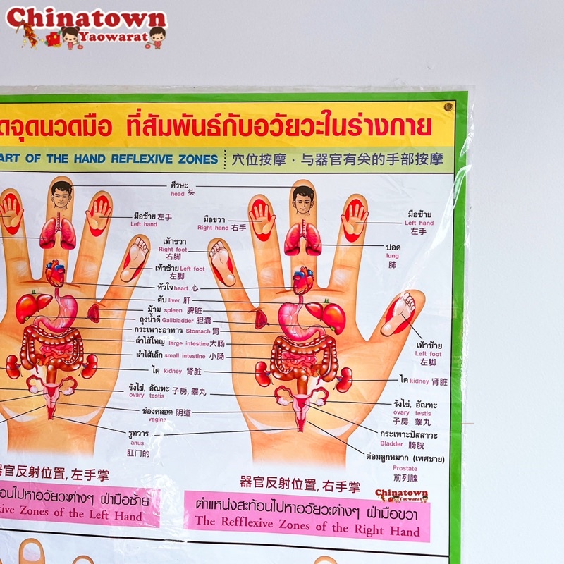 โปสเตอร์-กดจุดมือเขียว-poster-นวด-นวดแผนไทย-ฤษีดัดตน-กดจุดรักษาโรค-การนวดกดจุด-ลมปราณ-นวดแผนโบราณ-นวดแผนไทย