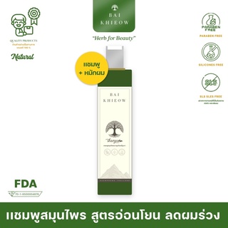 BAI KHIEOW : [แชมพู] BERGAMOT AND LITSEA MOUNTAIN HERBAL SHAMPOO (เเชมพูสมุนไพรมะกรูดใบหมี่ภูเขา สูตรอ่อนโยน ลดผมร่วง)