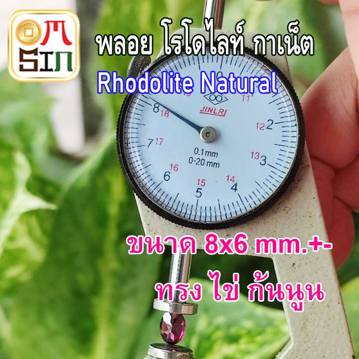 a249-8-x-6-มิล-1-เม็ด-ไข่-โรโดไลท์-กาเน็ต-พลอยแท้-rhodolite-garnet-พลอยสด-พลอยดิบ-ธรรมชาติแท้-ไม่เผา