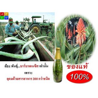 ภาพขนาดย่อของภาพหน้าปกสินค้าน้ำว่านหางจระเข้ แท้100% พันธฺุ์บาร์บาเดนซิส เอ็นเอเชีย บำรุงและฟื้นฟูสุขภาพ Alovera Babadensis 750 ml จากร้าน bestcare4u บน Shopee ภาพที่ 4