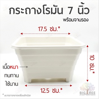 🗑กระถางสี่เหลี่ยม+จานรอง🏰ทรงโรมัน 7 นิ้ว สีขาวครีม คุณภาพดี👍กระถางชวนชม🎄บอนไซ🌻กุหลาบ🌷กระถางพลาสติก♻️(พร้อมส่ง)