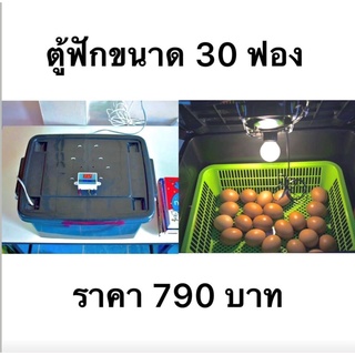 ตู้ฟักไข่ ราคาถูก ใช้ได้จริง ขนาด50ฟอง