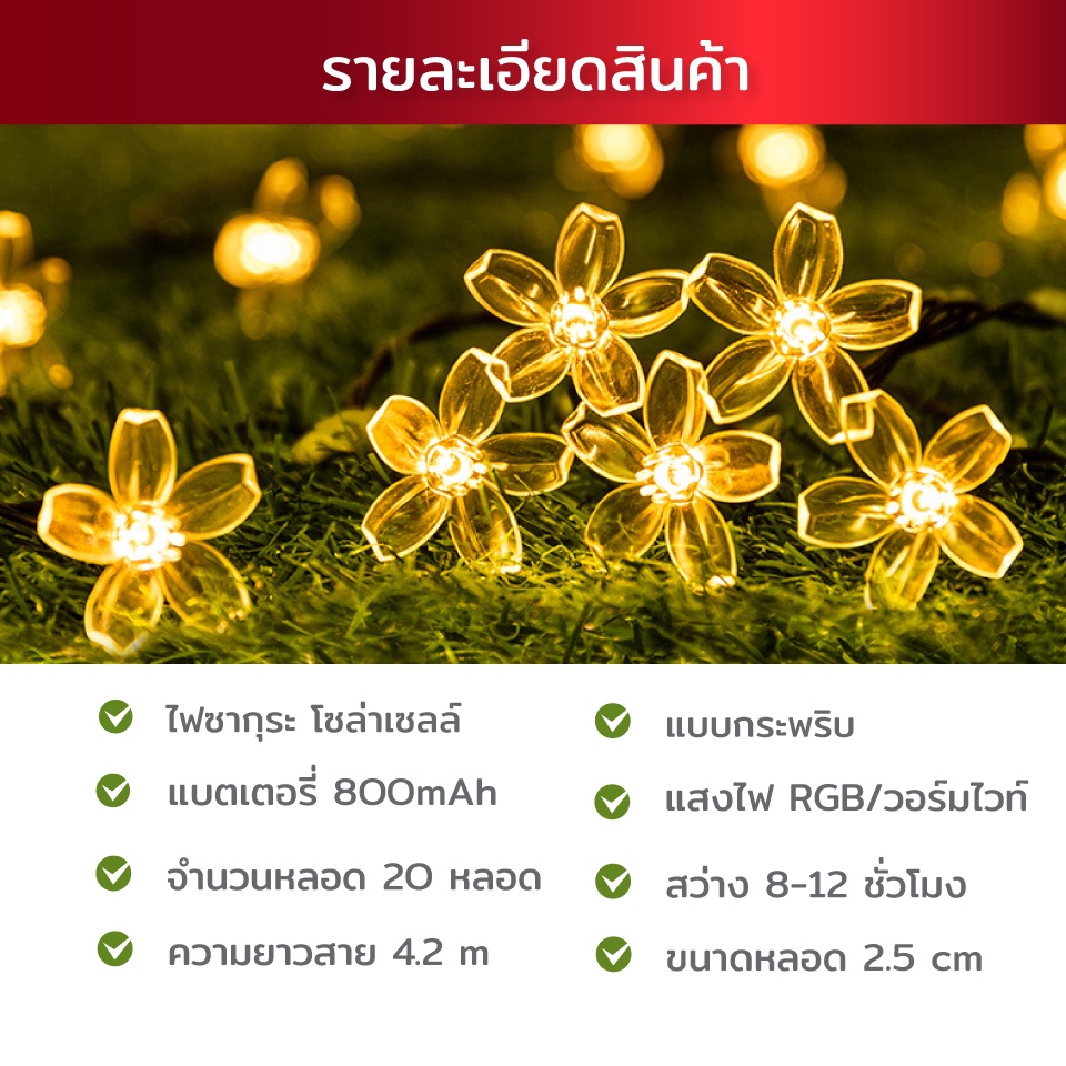 ไฟซากุระ-โซล่าเซลล์-20-หลอดไฟ-มีแสง-2-แบบ-ไฟตกแต่ง-โซล่าเซลล์-ปรับได้-8-โหมด-ไฟประดับโซล่าเซลล์