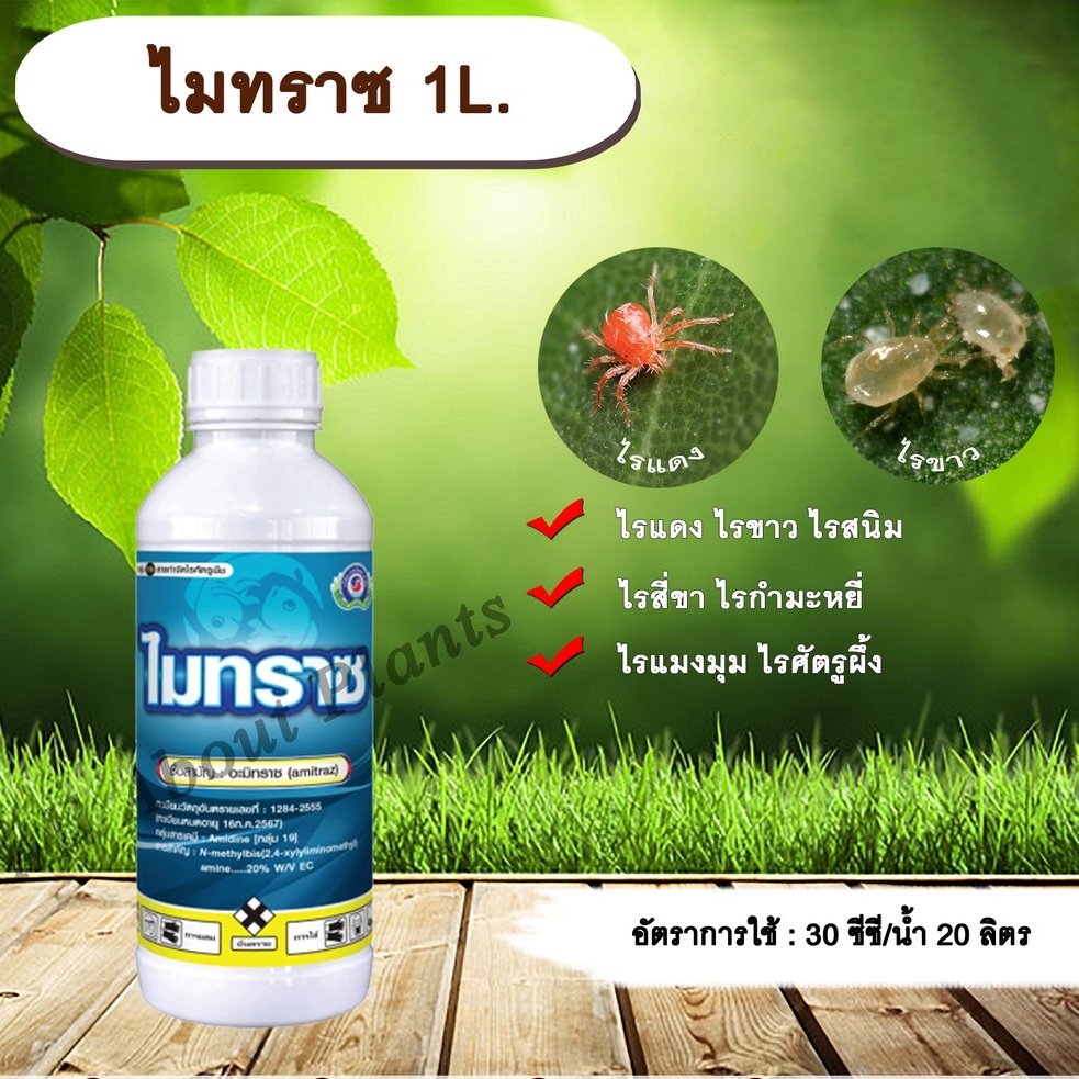 ไมทราซ-1l-อะมิทราซ-สารกำจัดแมลง-สารกำจัดไร-ไรแดง-ไรแมงมุม-ไรขาว-ไรสี่ขา-ไรสนิม-ไรกำมะหยี่-ไรศัตรูผึ้ง-allaboutplants